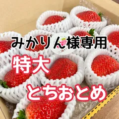 みかりん様専用