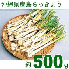 食品 らっきょう 5kg 鳥取県産 福部町 ふくべ ラッキョウ 産地直送