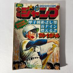 週刊少年ジャンプ 1980年 17号 江口寿史(愛読者賞読切) GO AHEAD