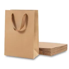 AZNABLE 紙袋 ギフトバッグ 手提げ袋 ク���フトバッグ 無地 縦型 ラッピングバッグ 10枚セット (大) [大]