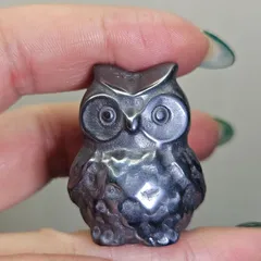 テラヘルツ ふくろう