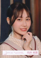 櫻坂46 向井純葉 生写真 何歳の頃に戻りたいのか？ 4枚コンプ - メルカリ