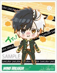 【新品】キャラカード 桜遥 プイッ!とアクキーカード 「WIND BREAKER」