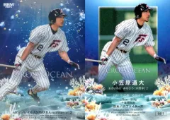 【中古】BBM CO17[インサートカード]：小笠原道大