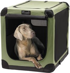 Item thumbnail for item 569192a1-2bfb-46a8-ba39-7f61bdb380f7