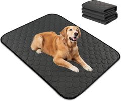 Item thumbnail for item e0fd603b-9409-46ec-aa37-c45109579cfc