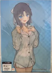 未開封　閃乱カグラ フクヤキャラ福くじ F賞 A4クリアファイル2種セット 雪泉＆雪泉のサムネイル