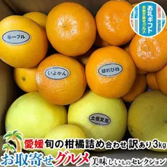 愛媛 フルーツ 旬の 柑橘 詰め合わせ 5種以上 訳あり 3kg サイズお任せ みかん/ポンカン/伊予柑/不知火/せとか/ブラッドオレンジ/はるか/土佐文旦/甘夏柑/八朔/ネーブル/なつみ/清見オレンジ/レモン/河内晩柑の中から【出荷日お任せ・指定日不可】