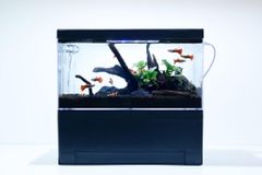 Item thumbnail for item b95413c0-9996-4cfa-b917-c999f8cfa2fb