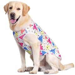 Item thumbnail for item 24c16d7c-d159-4677-83ae-107c5a94e5aa