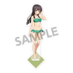 [신품] [HS 한정] 도사노 무녀 신작 BIG 아크릴 스탠드 주조 히메와 수영복 ver. [정규품]