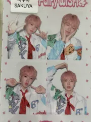 サクヤ シーグリ シーズングリーティング ネカット NCT(エヌシーティー) WISH