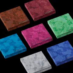 ENHYPEN [THE SIN : VANISH] (FUGITIVES ver.)（韓国盤）【正規輸入盤】