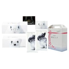 Item thumbnail for item ea296111-05d2-4996-9284-cb6ae3c6a673