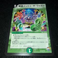 爆進イントゥ・ザ・ワイルド プロモ - メルカリ