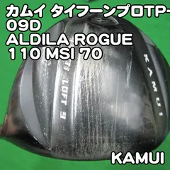 2026年最新】ALDILA ROGUE 110MSIの人気アイテム - メルカリ