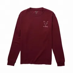 アメリカンイーグル AMERICAN EAGLE メンズ 長袖 サーマルグラフィックTシャツ ワッフル ロンT AE ロングスリーブ ワインベリー