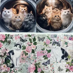 パネル生地　在庫処分‼️ 猫16柄　146