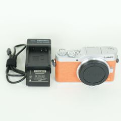 動作確認済み 【常時給電用DCカプラー付】現状品 LUMIX GM1S ボディ