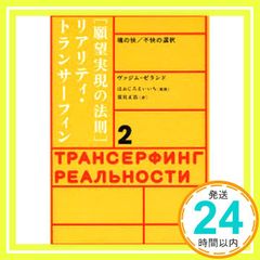 ヴァジムゼランド リアリティ•トランサーフィン 2 日本語版 - メルカリ