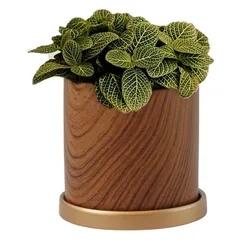 【新品】 iikuru 植木鉢 おしゃれ プランター 陶器 受け皿 観葉植物 鉢 多肉植物 1