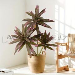 極美品】IKEA 人工観葉植物 カラテア 鉢・編みカゴ付き 105cm - メルカリ