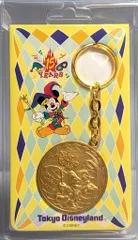 東京ディズニーランド メダルキーホルダー 15th ANNIVERSARY