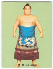 仙台出身 大関 大戸平廣吉(明治)「木版画(大判裏打有) 菱川春宣筆 相撲 
