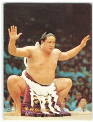 土俵2020｜DOHYO 2020｜横綱土俵入り｜相撲｜SUMO｜ - メルカリ