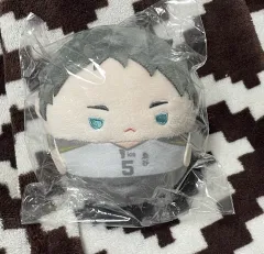 ハイキュー アニメイト COOGI(クージー) ふわコロりん D賞 赤葦 京治