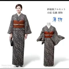 洗える着物 薄物 紗紬風　小紋　夏着物 フルセット 4点　カナ4-6