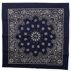 Item thumbnail for item 264718cd-d87c-4514-9e4a-0802045225c4