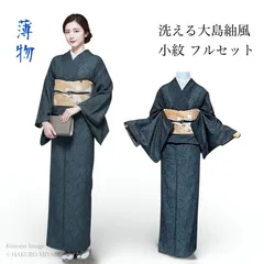 薄物　大島紬風　小紋　洗える着物 フルセット　夏着物 夏名古屋帯　4点