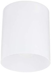 Item thumbnail for item 2e1f25c9-6005-4481-80d3-115463ded336