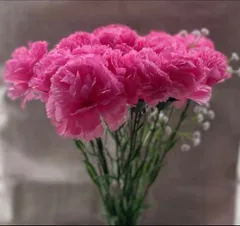 カラーが選べるカーネーションのブーケ