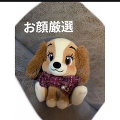★DISNEY STORE　 新品タグ付　お顔厳選　 ギフト　プレゼント ☆DISNEY STORE 新品タグ付 お顔厳選 ギフト プレゼント - メルカリ