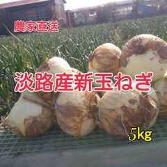 農家直送　淡路島産新玉ねぎ5㌔