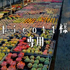 Nico11様専用