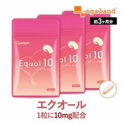 オリヒロ エクオール 50日 30日 計6点 - メルカリ