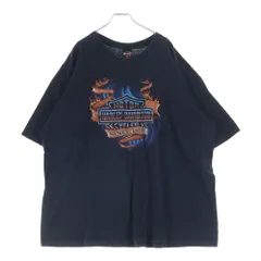 HARLEY DAVIDSON (ハーレーダビッドソン) 90s VINTAGE 1995 EMBLEM S/S TEE 両面プリント 半袖Tシャツ カットソー ブラック