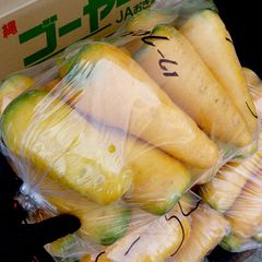 もう直ぐ売り切れ！宮崎県産ブルーマンゴー【20kg】150-290gミックス