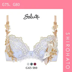 27％OFF【SHIROHATO公式】【正規品・新品】ワコール Wacoal サルート Salute 24SS先行 02G BTJ402 P-UP ブラジャー GHI プッシュアップ 単品 プレステージ(G75、G80)