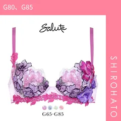 25％OFF【SHIROHATO公式】【正規品・新品】ワコール Wacoal サルート Salute 24SS 06G BTJ406 P-UP ブラジャー G プッシュアップ 谷間 大きいサイズ 単品 シーズン(G80、G85)