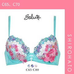 25％OFF【SHIROHATO公式】【正規品・新品】ワコール サルート 50グループ 50G リボンブラ ブラジャー C 谷間キープ Wacoal Salute BTJ750 25SS先行コア(C65、C70)