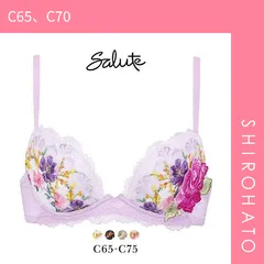 25％OFF【SHIROHATO公式】【正規品・新品】ワコール Wacoal サルート Salute 23AW 93G BTJ793 FRONT-X＋ フロントエックスプラス ブラジャー C 谷間 単品 フェア(C65、C70)