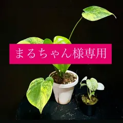 まるちゃん様専用