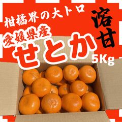 訳ありカラマンダリン 5kg 手でむける 愛媛産 - メルカリ