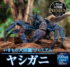いきもの大図鑑プレミアム　ヤシガニ　　othのサムネイル