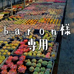 baron様専用