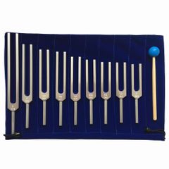 Sakiさま専用【美品】音叉セット 10本 マレット付き - メルカリ